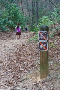 High Shoals Falls Loop Begins Downhill