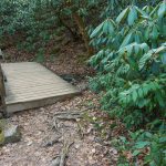 Small Tributary on High Shoals Falls Loop