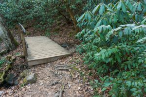 Small Tributary on High Shoals Falls Loop