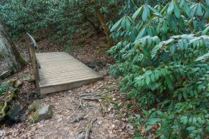 Small Tributary on High Shoals Falls Loop