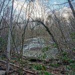 Exfoliating Rock Face