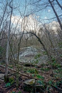 Exfoliating Rock Face