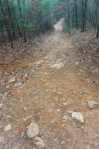 Rocky Section of High Shoals Falls Loop