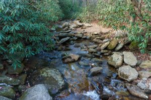 Shinny Creek