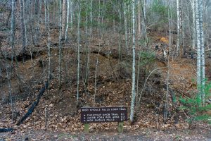 High Shoals Falls Loop Trail Start