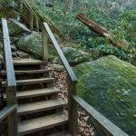 Up and Up the Steps to the Falls