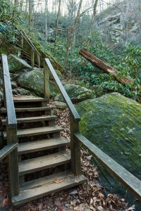 Up and Up the Steps to the Falls