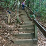 More Steps Above the Falls