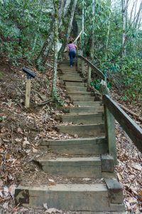 More Steps Above the Falls