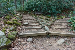 High Shoals Falls Loop Split