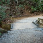 Trail Bridge over Shinny Creek