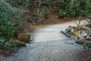 Trail Bridge over Shinny Creek