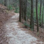 Straight Section of Upper Falls Trail