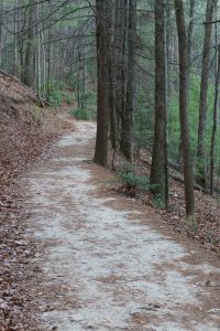 Straight Section of Upper Falls Trail