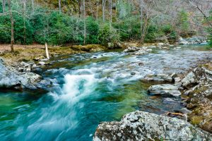 Rapid on Big Laurel Creek