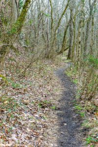 Old Railroad at Runion