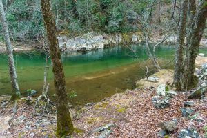 Unusually Clear Water