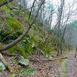 Rocky Slopes above the Laurel River Trail