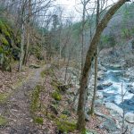 Mossy Rocks, Trail, and River