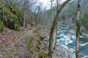 Mossy Rocks, Trail, and River