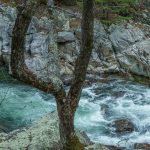 Rapids Above Swimming Hole