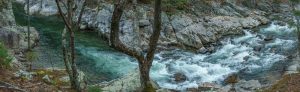 Rapids Above Swimming Hole