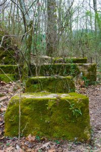 Old Concrete Piers at Runion