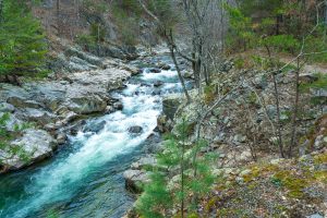 Big Laurel Creek