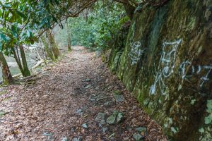 Rock Wall beside the Laurel River Trail