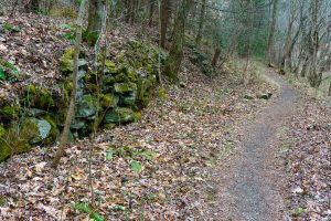 Rock Wall near Runion