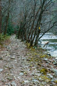 Rocky Stretch of Laurel River Trail