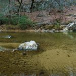 Sandy Section of Big Laurel Creek