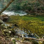 Clear Water and Sunlight