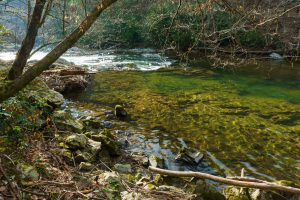 Clear Water and Sunlight