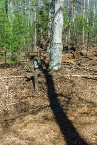 Airstrip and Shelter Rock Trails