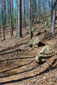 Boulders Beside the Airstrip Trail