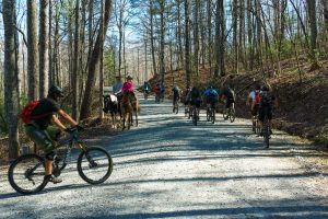 Riders on Conservation Road