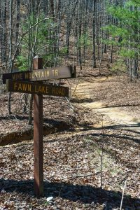 Fawn Lake & Mine Mountain Trails