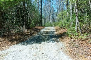 Hill on Fawn Lake Road