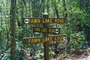 Fawn Lake Loop and Road