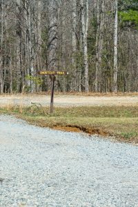 Shortcut Trail at Airstrip