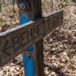 Carved Wood Sign on the Bennett Gap Trail