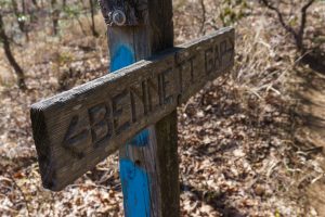 Carved Wood Sign on the Bennett Gap Trail