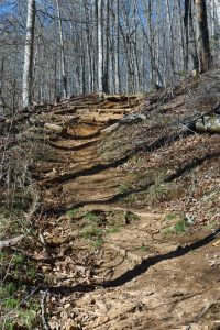 Steep Portion of Coontree Loop Trail