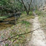 Coontree Loop Trail and Creek