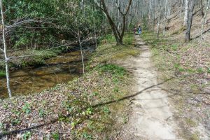 Coontree Loop Trail and Creek