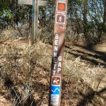 Coontree Loop and Bennett Gap Trail Junction