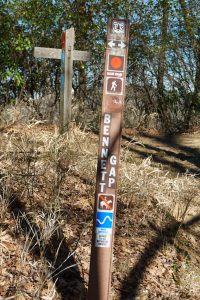 Coontree Loop and Bennett Gap Trail Junction