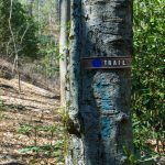 Blue Blaze and Sign on the Coontree Loop Trail