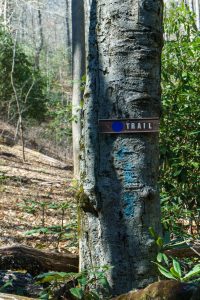 Blue Blaze and Sign on the Coontree Loop Trail